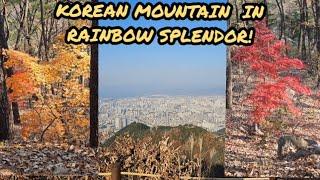 MAGICAL FALL FOLIAGE IN KOREA (VERTICAL): MOUNTAIN HIKE IN A RAINBOW FOREST