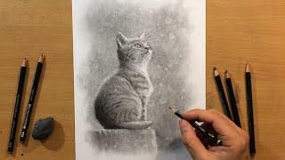 Graphite Pencil Drawing of a Kitten