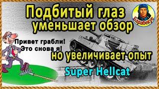 Успеваю на всех флангах! Кот по кличке "Конь". Super Hellcat – Супер Хелкет