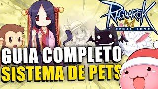 Guia Completo do Sistema de PETs | Ragnarok M: Eternal Love