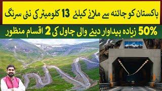 New Tunnel will connect Pakistan & China through 120 Km short route | Rich Pakistan