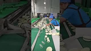 Ceramic bowl cleaning and disinfection process
