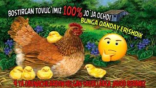 BOSTIRGAN TOVUG'IMIZ 100 % JO'JA OCHDI // BUNGA QANDAY ERISHDIK