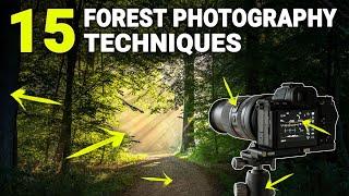 HOW TO PHOTOGRAPH FORESTS