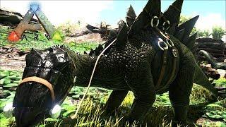 Приручил Стегозавра - Ark Survival Evolved #12