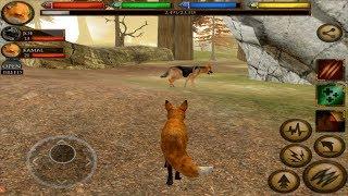 Furious  fox VS Angry Guard Dog, Boss Fight, Ultimate Fox Simulator