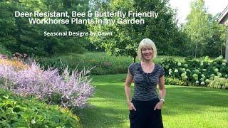 Deer Resistant Plants That Bees & Butterflies Love In My Garden