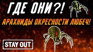 ГДЕ НАЙТИ ПАУКОВ ПО КВЕСТУ: АРАХНИДЫ ОКРЕСНОСТЕЙ ЛЮБЕЧ?|Stay Out|Stalker Online|EU1