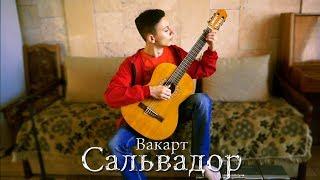 САЛЬВАДОР (Испанский народный танец) - guitar cover by Vakart