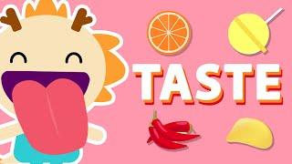 TASTE  | Five Senses Song | Wormhole Learning - Songs For Kids