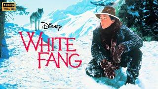 White Fang (1991) Movie | Adventure & Drama || Ethan Hawke | White Fang Full Movie Review & Facts