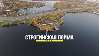 Строгинская пойма. Осень.