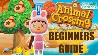 The Ultimate Beginners Guide - Animal Crossing New Horizons Tips & Tricks