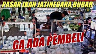 IKAN PREDATOR IMPORT‼️ UPDATE HARGA TERBARU IKAN HIAS PREDATOR TERMURAH NUMAN PASAR IKAN JATINEGARA