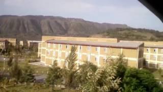 Woldiya university
