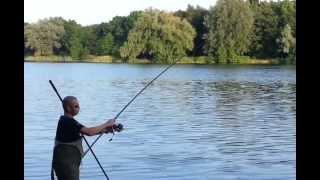 D.Karp: "CatchAndRelease" Big Carp Fishing. Karpervissen in Nederland.