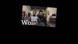 Wollo malis