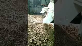 Bolida Rotexmaster YGKJ880 Wood Pellet Machine Working Video.