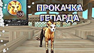 WildCraft || Прокачка гепарда до 100 уровня.