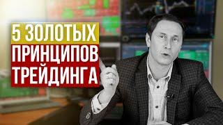 Эти принципы приносят трейдерам прибыль! Подробный разбор