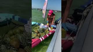 Crab island 