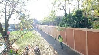 Cutting the trees in Tidemill Garden!