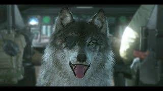 Как кастомизировать d dog-a В mgs V