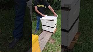 first super for the bees #animal #bee #homestead