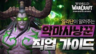 [#어둠땅] 일리단이 알려주는 악마사냥꾼 직업 가이드 | 월드 오브 워크래프트