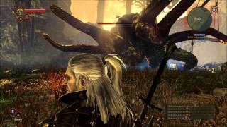 [Witcher 2] How to kill Kayran