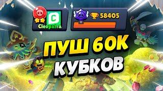  АПАЮ 60К КУБКОВ В БРАВЛ СТАРС | КЛЕО BRAWL STARS