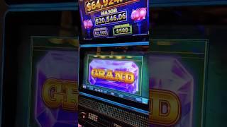 I’M SCREAMING I WON IT ALL!! #gambling #casino #slots