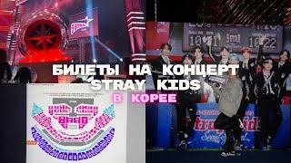 покупаем билеты на концерт Stray Kids в Корее // СТРЕСС