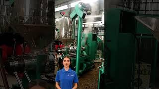 Olive Oil Extraction like a Pro with Our Oil Press Machine #fcnfm #machine