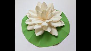 White water lily made of paper with your own hands#