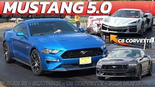 Mustang 5.0 vs C8 Corvette & 2024 Mustang, Scat pack Charger, AUDI S5 @ island dragway