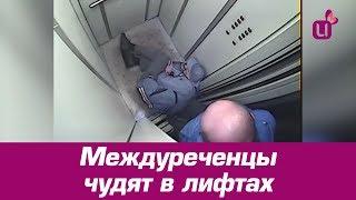 Междуреченцы чудят в лифтах