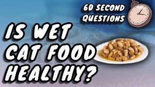 Is Wet Cat Food A Healthier Option?