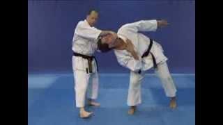 Elbow Training Combative Flow Applications Troy J Price Martial Arts Action Clips