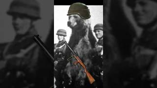 This Bear was an actual SOLDIER