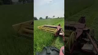 HAY SEASON BEGINS Please #likeandsubscribe for more #farming content #shorts #youtubeshorts #like