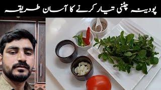 Pudine chatni Recipe | Pudina chatni Recipe | Mint chutney | Hari Chutney | Afzal family