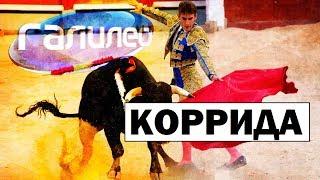 Галилео | Коррида  Corrida