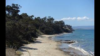 Exploring Roches Beach Park For Summer