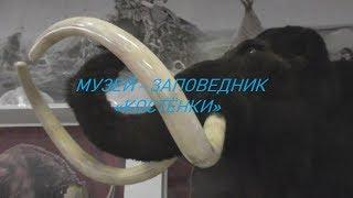 экскурсия в музей заповедник костёнки