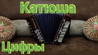 КАТЮША на гармони/ Катюша разбор на гармони