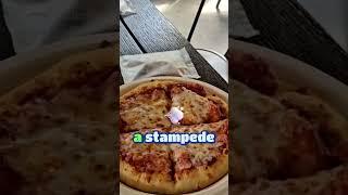 What we ate at Dollywood