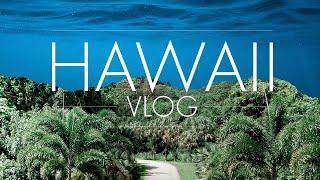 The Hawaii Vlog - 2019 - Joey Pusateri