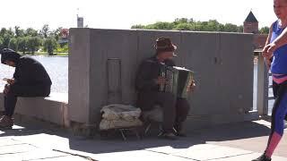 Footage. Russian accordionist plays on the street. / Футаж. Русский гармонист. Великий Новгород.