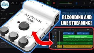The Joyo MoMix Review!